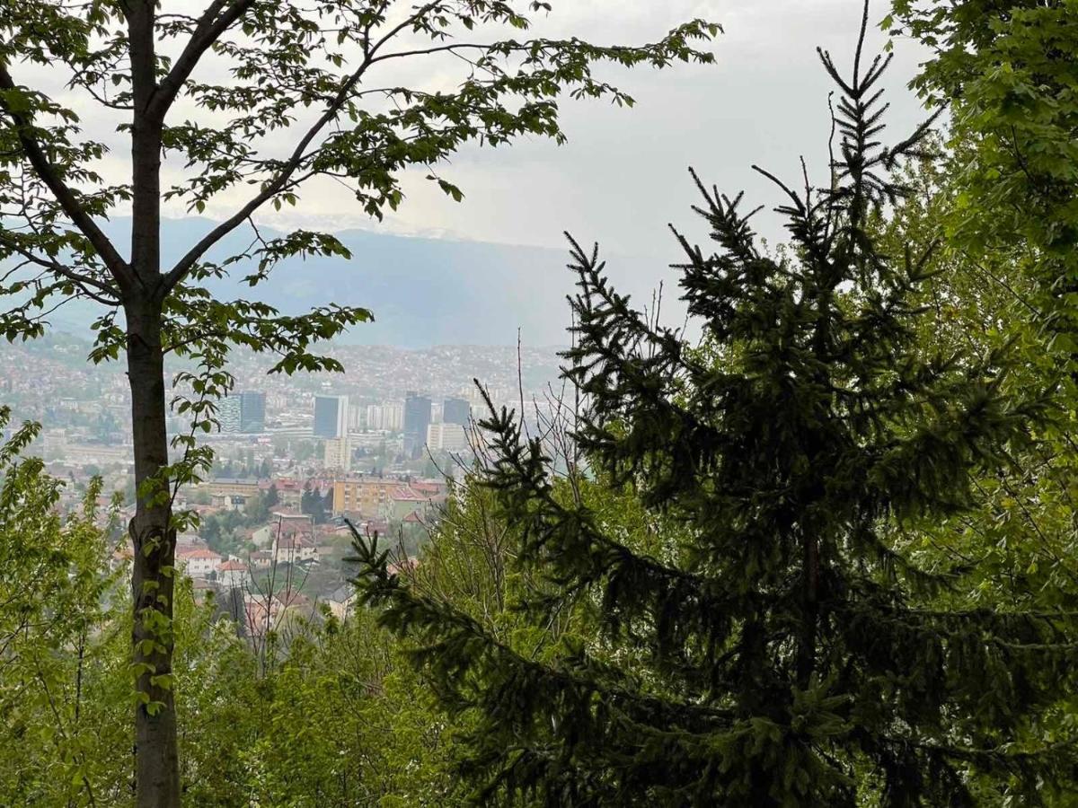 Studio Apartman Sedrenik SJJ Esterno foto